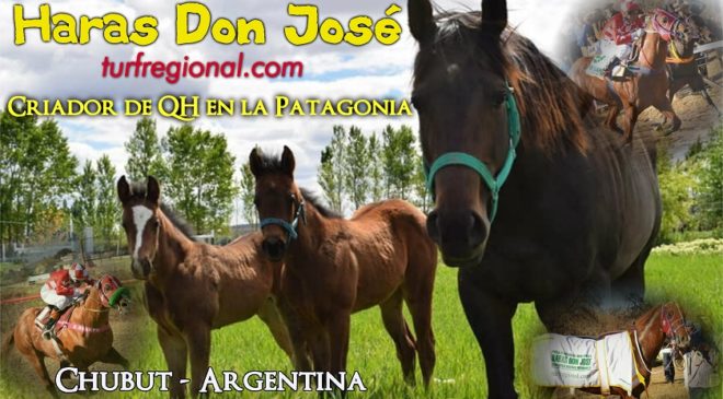 El futuro ya está aquí… el Haras Don José criando QH en la Patagonia con tecnología y genética de última generación