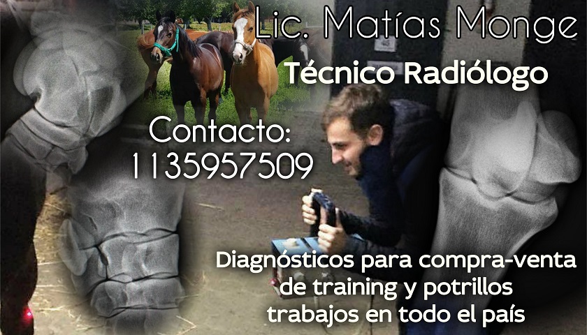 Matías Monge, Técnico Radiólogo de equinos, realiza estudios previos a la  compra-venta de un caballo de carrera – 