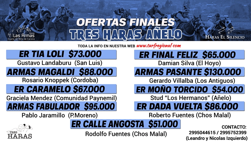 Exitosa Venta “Tres Haras Añelo”, aquí las Ofertas Finales