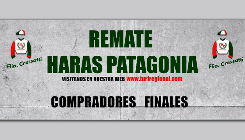 Exitosa venta de Haras Patagonia de la Flia. Cressatti, aquí las Ofertas finales