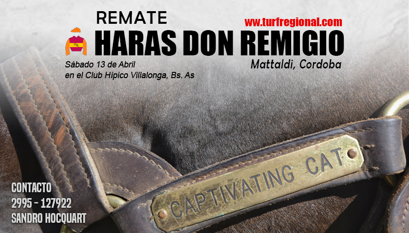 Sábado 13 de Abril Remate Haras Don Remigio en Villalonga (Bs. As). Aquí las Condiciones y Catalogo